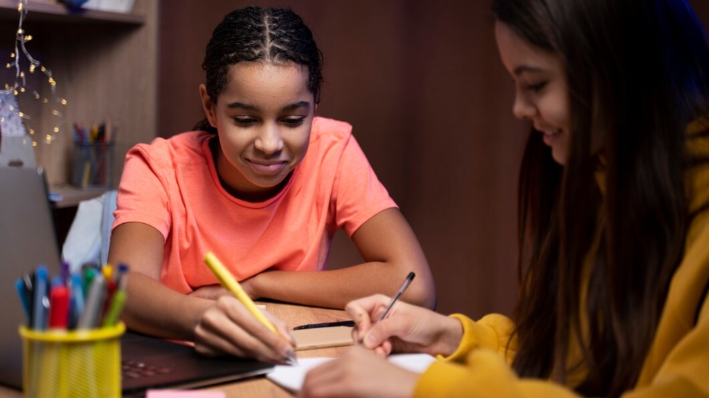 N2 Japanese Language Classes
